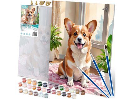 Slikanje po številkah 40x50 cm Massido Pes Corgi